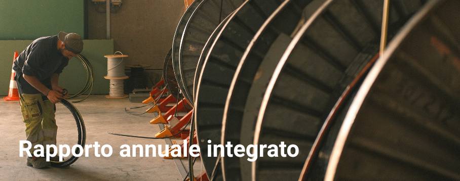 Rapporto annuale integrato 2025